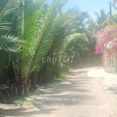 Cần bán lô đất 402m2.sát khu du lịch rừng dừa 7 mẫu.thành phố hội an