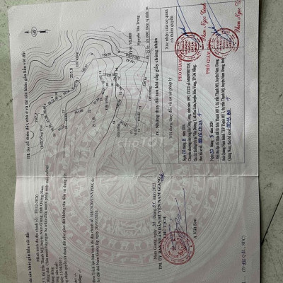 chính chủ cần bán đất rừng sản xuất