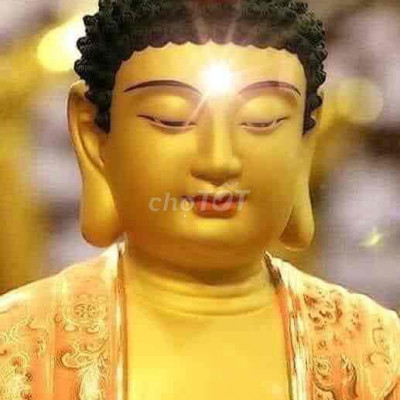 Chính chủ bán đất đường QH 19,5 mét, ngã ba Lạc Long Quân (có TL)