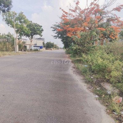 Đất víp đg 11m5.sat đại hoc fpt