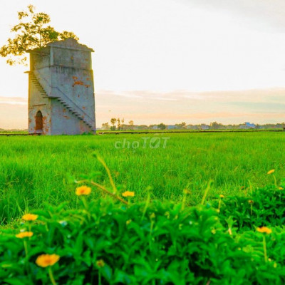 Ven Hội An, view sông Thu Bồn ngang 10m giá chỉ 680tr. đường ô tô