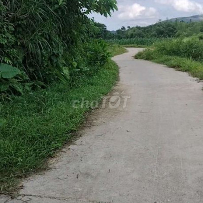 Chủ cần bán nhà vườn 3000m2 có 200 đất ở thanh trà, bưởi, bơ , mít.