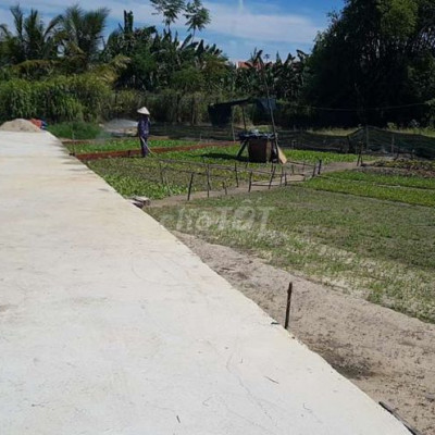 Đất gần KCN Điện Ngọc 226m2 chỉ 900triệu