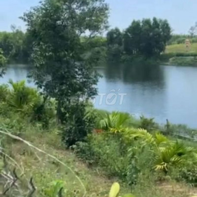 vườn Views sông tam ngọc tam Kỳ .Phù hợp làm nhà vườn nghĩ dưỡng