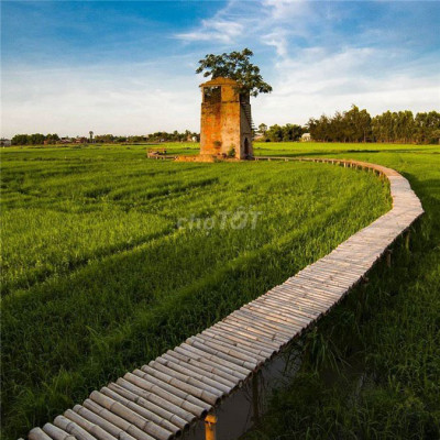 Đất cách Cẩm Kim Hội An 3km- Gần Sông- View Rừng Dừa- 195m2 ngang 10m