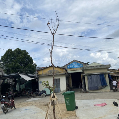 Đất biệt thự sát sông, 200m2 ngang 10m giá rẻ chỉ 680 triệu, gần chợ