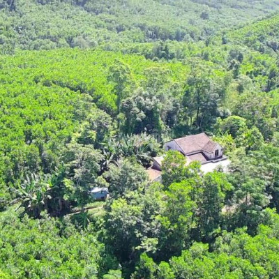 Bán nhà vườn vs 250.000.000m2 đất Bám Suối 25 hetta 
Địa hình đồi bằng