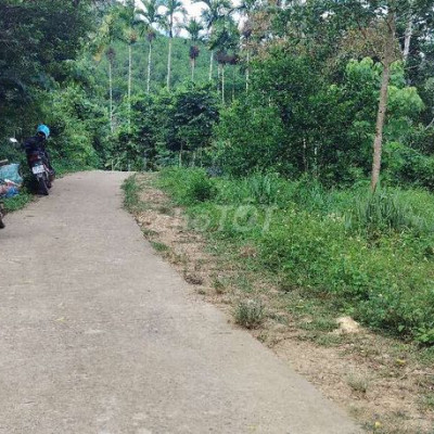 bán đất Vườn mặt tiền đường bê tông 
Diện tích 1000m2 có 100m ont