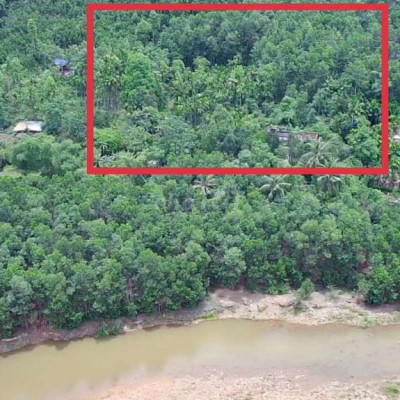 Bán vườn views sông 12.936m2 có 400 đất ở 
Mặt tiền bê tông ngan 60m