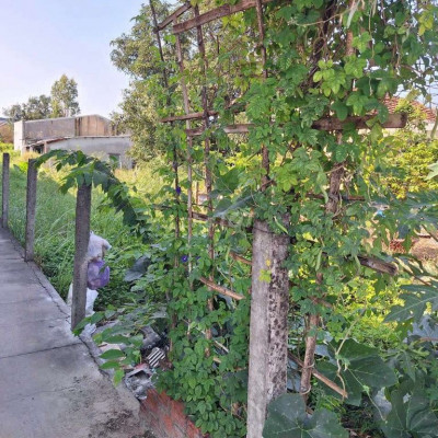 🔥🔥🔥 Mình cần bán gấp lô mt võ như hưng