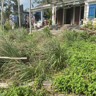 Cần tiền bán gấp lô đất Quế Xuân gần Quốc Lộ giá tốt