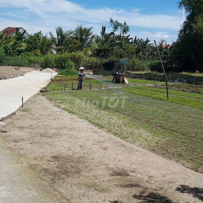 Đất cạnh khu công nghiệp Điện Ngọc, 226m2, đường oto