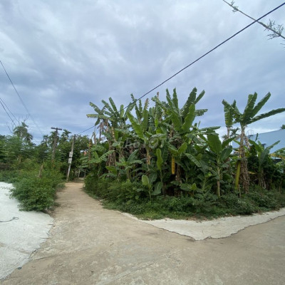 Bán thanh lý đất Cẩm Kim - Hội An, giá rẻ, view đẹp