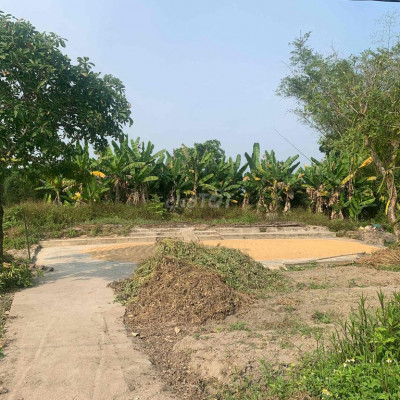 Bán đất giá rẻ đầu tư cho vk ck trẻ