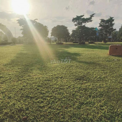 Đất vít chợ đầu mối điện ngọc