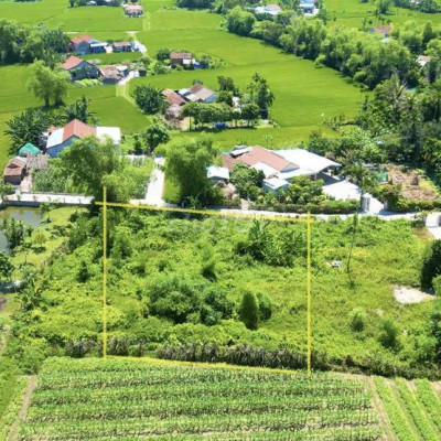 Quý Phước - Bình Quý - Đất vườn 1300m2 ngang 42m giá 1ty1