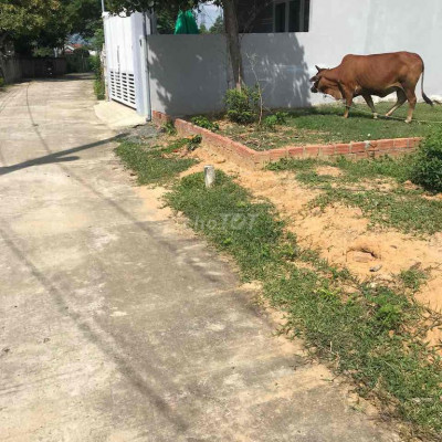 Bán lô Thái cẩm điện tiến cách trung tâm ĐN 12km