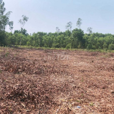 Cần bán 2500m2 đất ở vườn thuộc xã Quế Mỹ, Quế Sơn, Quảng Nam