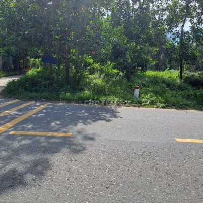 Cần bán đất mặt tiền đường nhựa 616 tam Kỳ tiên phong