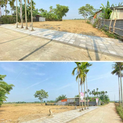 Cơ Hội Sở Hữu Lô Đất Tuyệt Vời Tại Điện Hồng