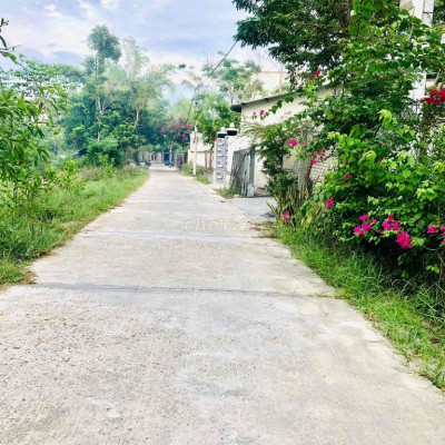 Vỡ nợ bán gấp 225m2 kiệt 5m ngay Trường Thái Phiên , giá 600 triệu