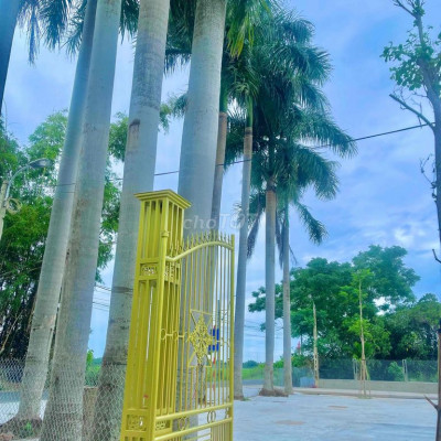 mat bằng kd 3mat tiền dt 25m x30m duong thông cách quốc lộ 1 3km tiệ