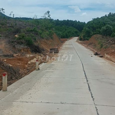 Cần bán lại đất trồng cây