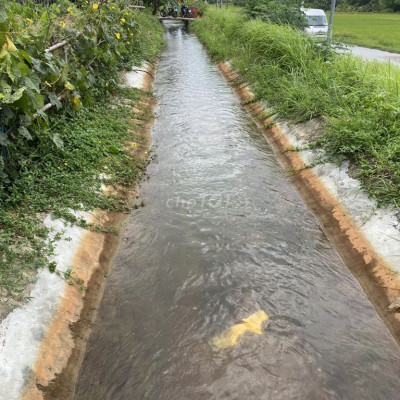 Bán đất đường ĐT 611 xã quế Long huyện quế Sơn