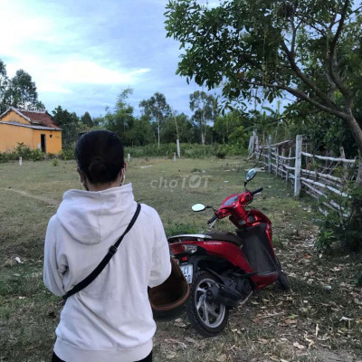 Đất Ô Tô Tận Nơi Xã ĐẠI HIỆP 100m2