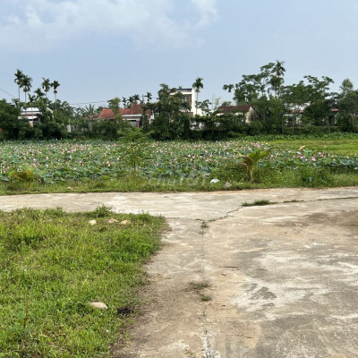 118m đất ở, hai mặt tiền ngay trước Đầm sen (xem hình thực tế)