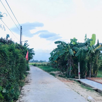 Bán  Lỗ Lô Đất Điện Hồng Diện Tích 210 m2 giá chỉ 4XX Triệu