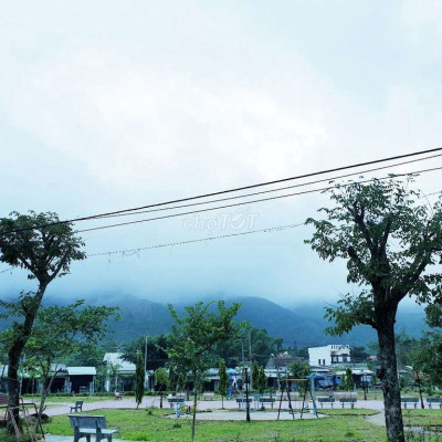 Bán nhà giữa đồi chè Đông Giang