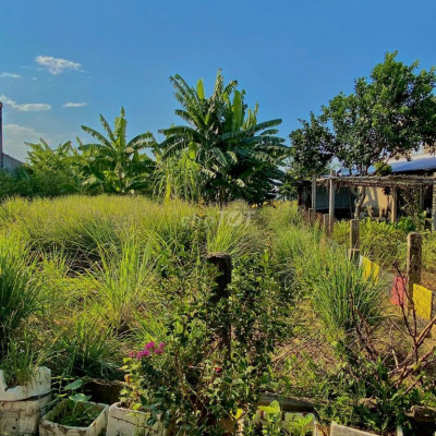 Nhanh tay chỉ với 630tr sở hữu ngay lô đất 120 m2 ở ngay chợ Lạc Thành