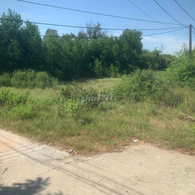 Bàu Ốc Cẩm Hà Hội An 360m đg Cồn Tâp 1 ,  đất tcln Giá chỉ có 1150