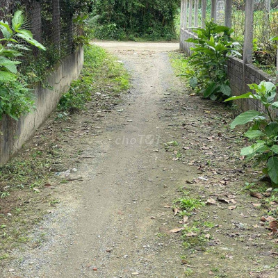 🍀Cần bán lô đất ở bê tông oto tận nơi chợ la thọ 2,Điện Hoà,Điện Bàn,