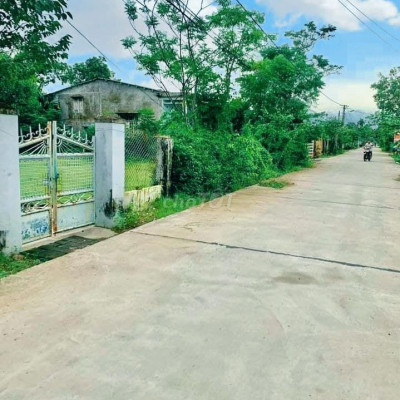 DT 240m2 bằng 2 lô cộng lại - Đất ở 100% đường 5m5