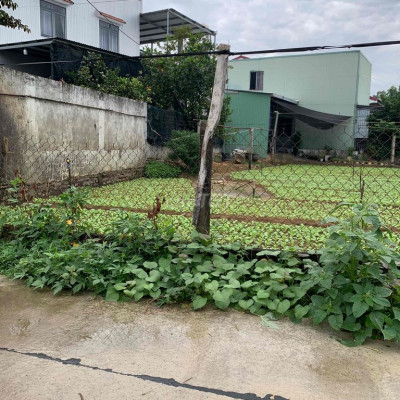 Đất Điện Nam Bắc đường 6m