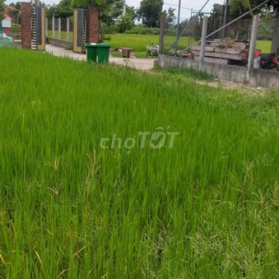 Cần ra đi đất còn trong sổ đỏ