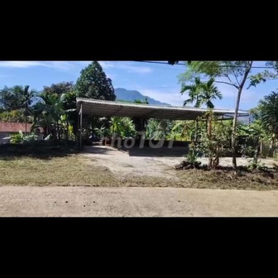 cần bán nhà vườn, mt đường rộng phù hợp kinh doanh1500m2 có 200m ONT