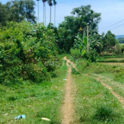 Cần bán gấp đất vườn phù hợp nghĩ dưỡng trồng cây ăn quả  chăn nuôi