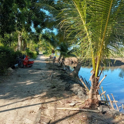 Đất thổ cư và ao 800m2 Duy Xuyên, Quảng Nam