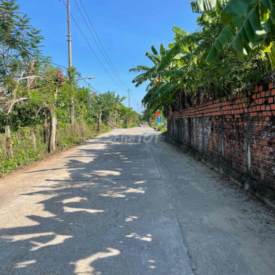 Đất Điện Bàn bê tông 5m5 siêu đẹp