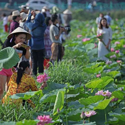 BÁN ĐẤT TẶNG HỒ SEN