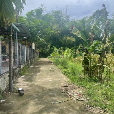 hàng *** đại lộc giá 230triu