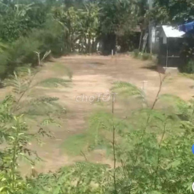 Cân ban nhanh lô đât kiêt Trân Thủ Độ Điện Bàn QNam Gia chi 1t150