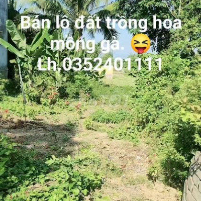 🔊Chính chủ gửi bán lô đất ở điện phước, điện bàn, quảng nam