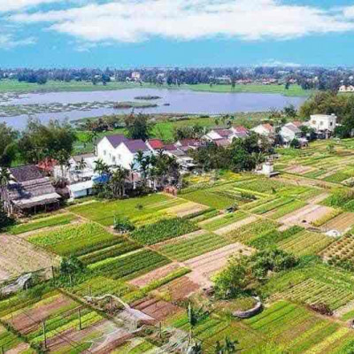 Chính chủ cần bán nhanh lô đất view lúa Lý Thái Tổ