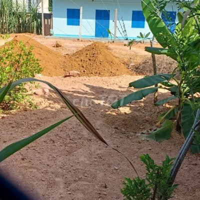 Nhà trọ 20m2 tại Tam Hiệp