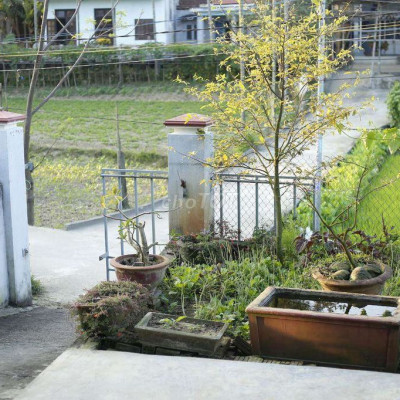 Bán nhà Phường Điện Thắng Nam đất ngang 8m diện tích 184m2 view chill