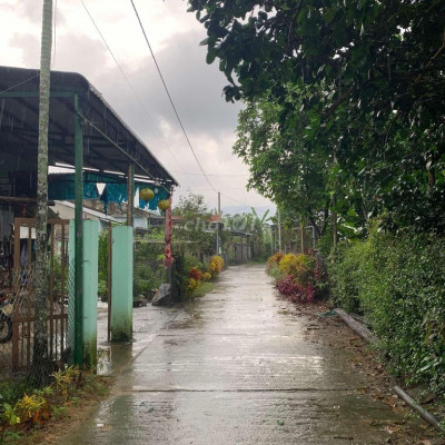 ĐẤT NÔNG SƠN GIÁ 130 TRIỆU 1 LÔ SỔ HỒNG SẪN GIÁ RẺ 130 TRIỆU /LÔ